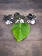 Image of Semi-Adjustable Broadleaf Hydrangea Rings
