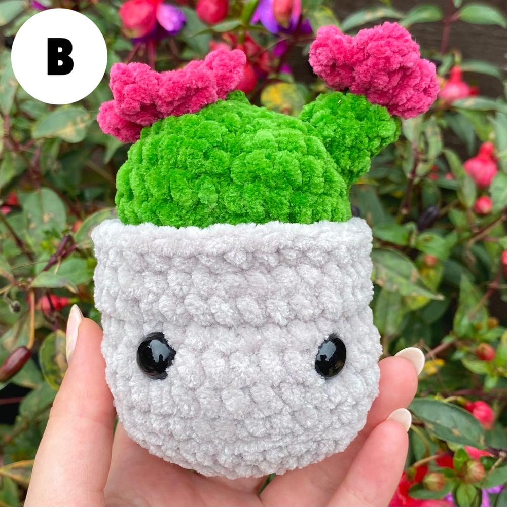 Image of Crochet Plants