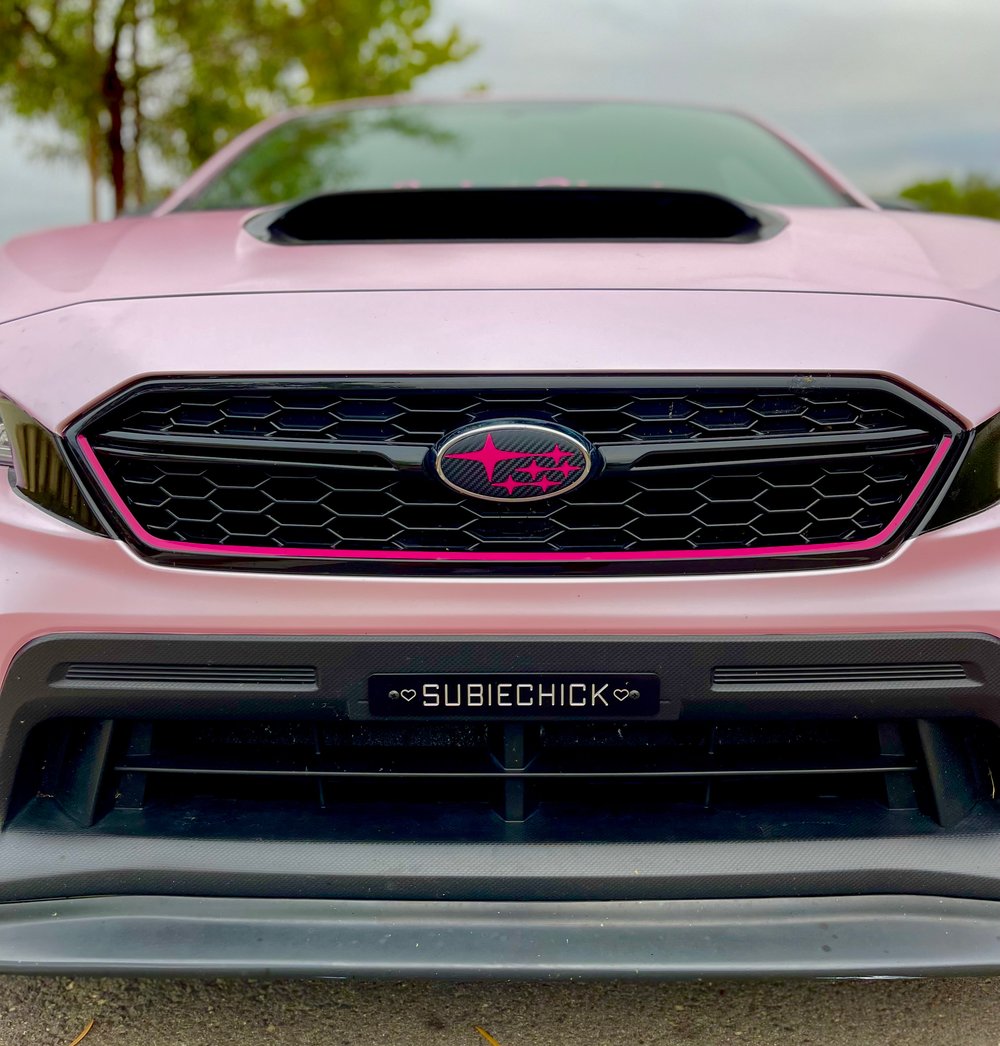 SUBIECHICK License Plate Delete