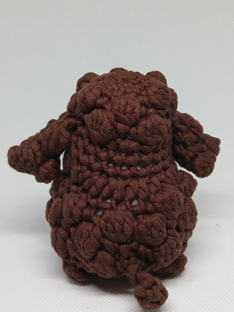 Image of Toy Poodle 