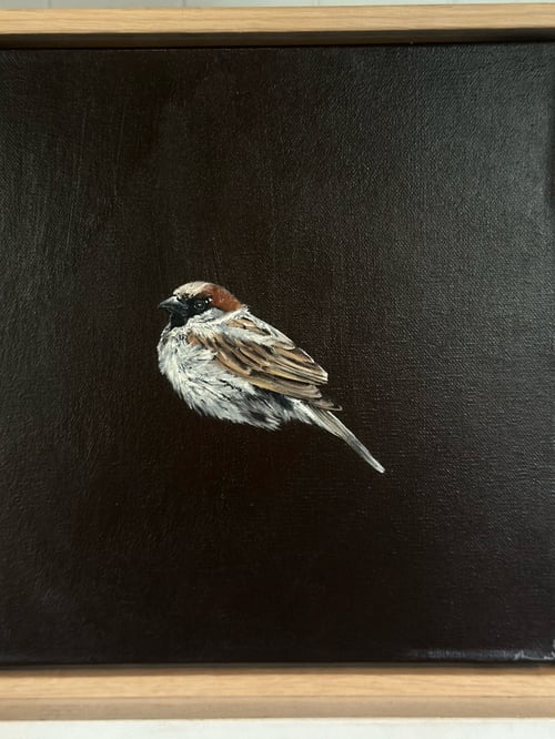 Image of The Bird on Brown by Monique Correy