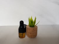 Image 1 of Car Diffuser/Air Freshener - All Natural Fragrance