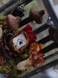 Image 2 of Love Letter Lantern Curio