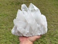 Image 12 of Clear Quartz Points Cluster Statement Piece #2188