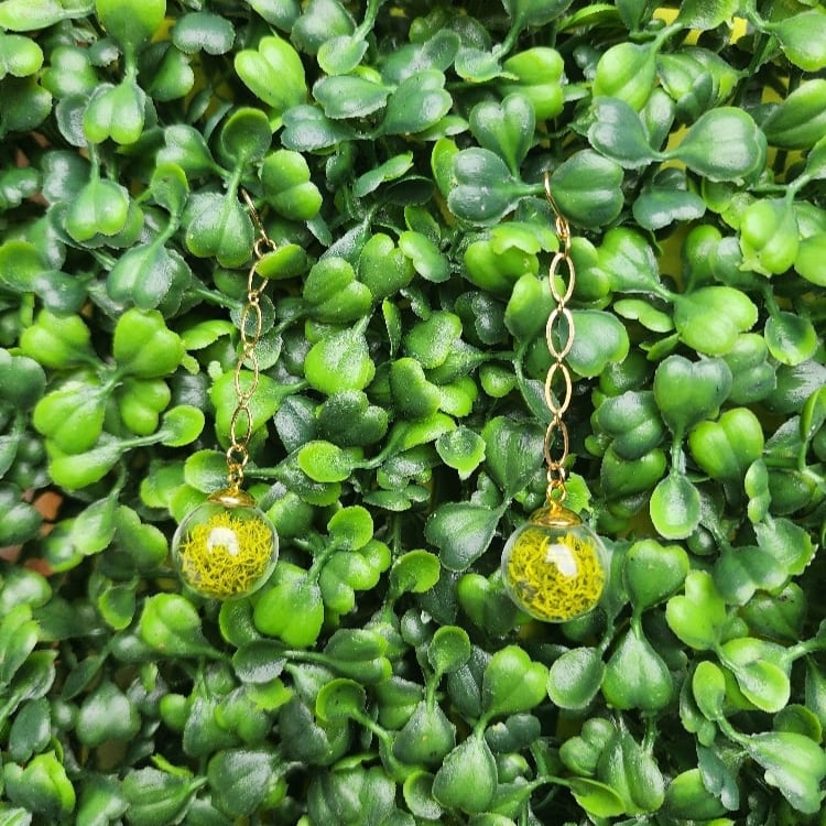 Image of round mossy jar earrings