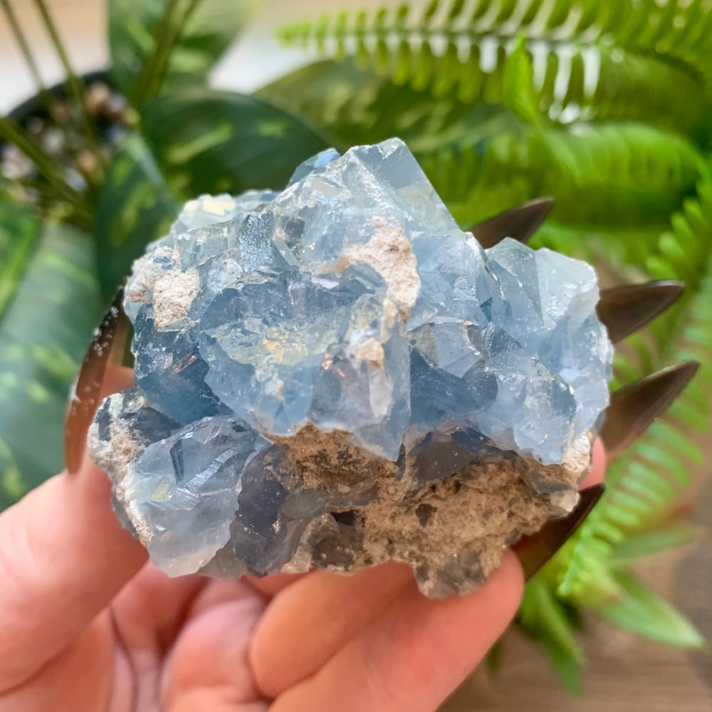 Celestite Clusters