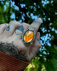 Image 1 of Golden Hour Agate Ring~9.25/9.5