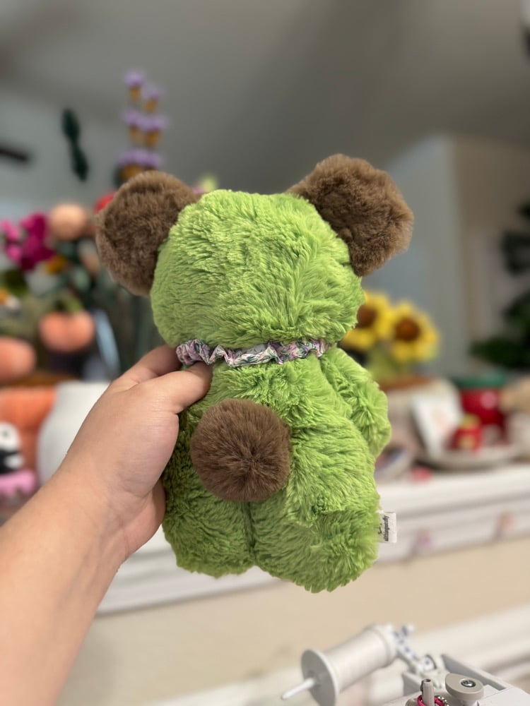 Image of kiwi 🐻🥝 