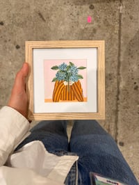 Image 2 of Embrace Them - Mini Hydrangeas