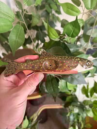 Image 2 of PRE ORDER Brook Trout
