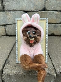 Bunhound
