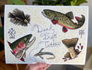 Image 3 of Carp and Trout Flash- Combo Pack