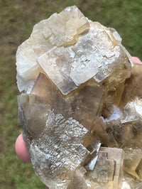 Image 11 of Barite & Yellow Cubic Fluorite From Beijing #2458