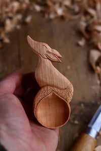 Image 7 of Fox Scoop 