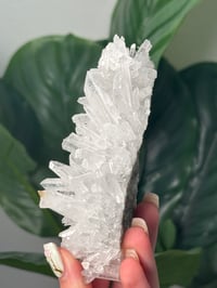 Image 3 of NEEDLE QUARTZ CLUSTER -BULGARIA-