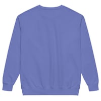 Image 6 of Unisex DIVINELY PROTECTED garment-dyed sweatshirt