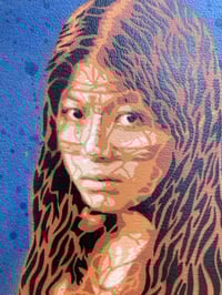 Image 2 of Cover Book AMAZONIA