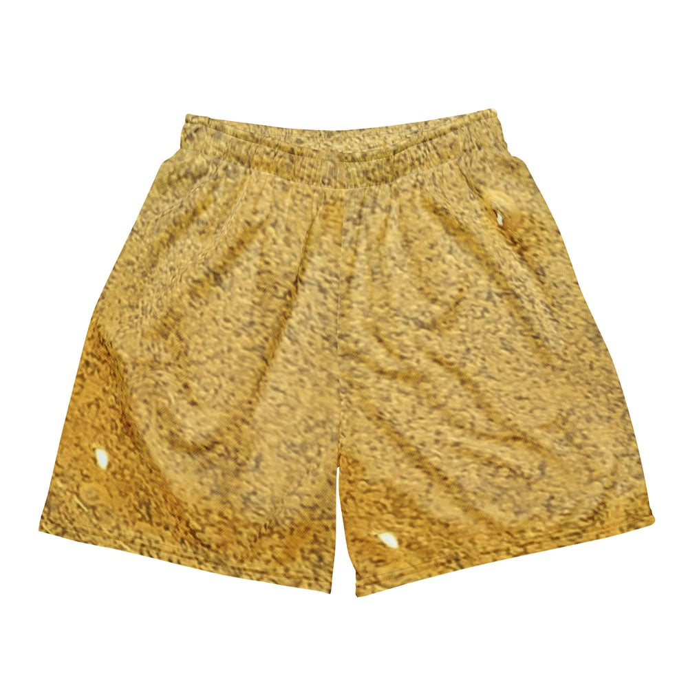 Image of Fresh Press Mesh Shorts