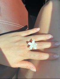 Image 4 of Anillo jazmín 