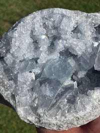 Image 3 of Celestite Geode #1950