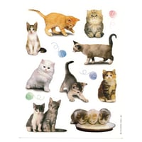 kitten sticker sheet