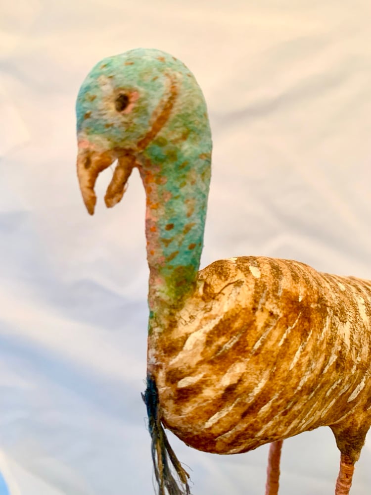 Image of Turkey Hen Figure 2