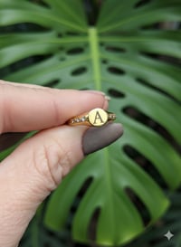 Image 4 of Gold Signet Rings