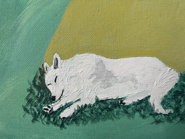 Image of Wolf Dreaming in Sunshine 