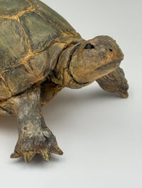 Image 18 of Steady On- Julie Kradel