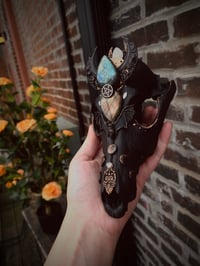 Image 15 of Spellbound adorned coyote skull 