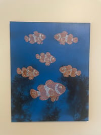 Image 5 of “Clown Fish”