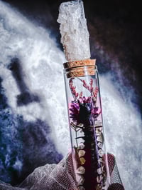 Image 1 of Rare Aquatic Mimic Centipede Monster Larva Acanthacorydalis fruhstorferi VIETNAM, danubrite crystal 