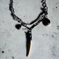 Image 3 of Ravens Charms