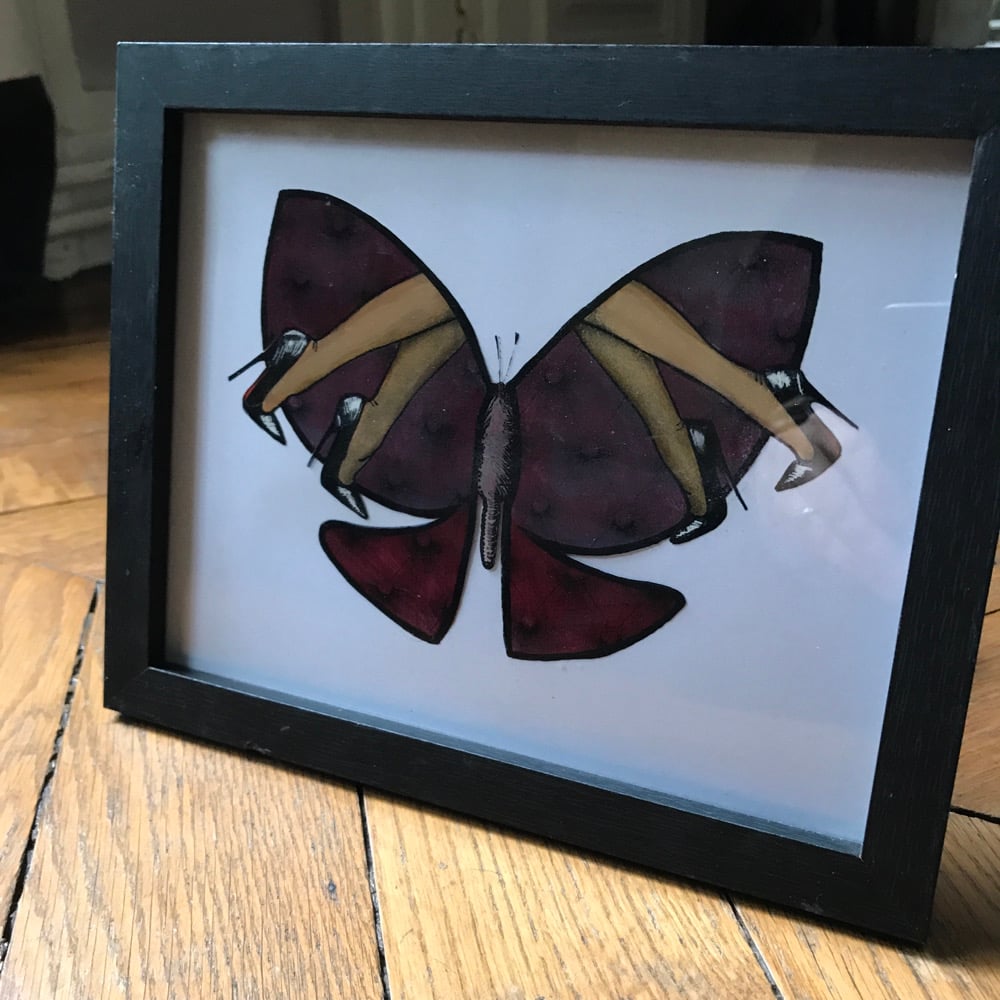 Image of Butterfly 30 