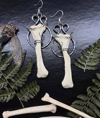 Coyote Bone Mixed Metal Earrings 