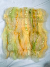 Image 3 of Tropical Batt #2