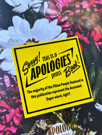 Image 3 of PILLOW PEOPLE Book