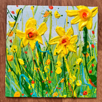 Image 2 of Spring Daffs