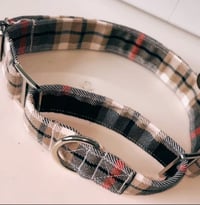 Martingale Add On