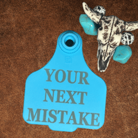 Image 2 of YOUR NEXT MISTAKE