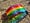 Image of Rainbow with Heart
