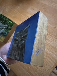 Image 3 of Acrylic Oil and Graphite painting on Wood “Owl in Starlight” by Sheila Cameron copy copy
