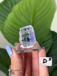 Image 4 of BLUE HALITES -TURKEY- LOT 3