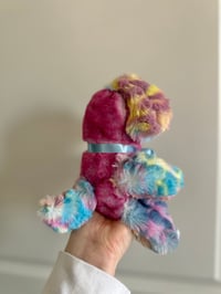 Image 2 of Birthday Puppy