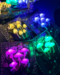 Image 4 of Small gold frame led mushrooms