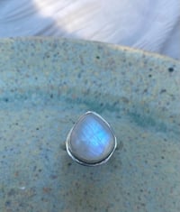 Image 2 of Bioluminescence 