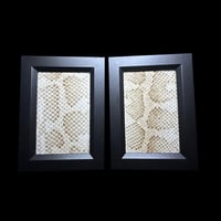 Image 2 of python skin frame