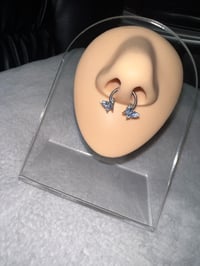 Butterfly Septum