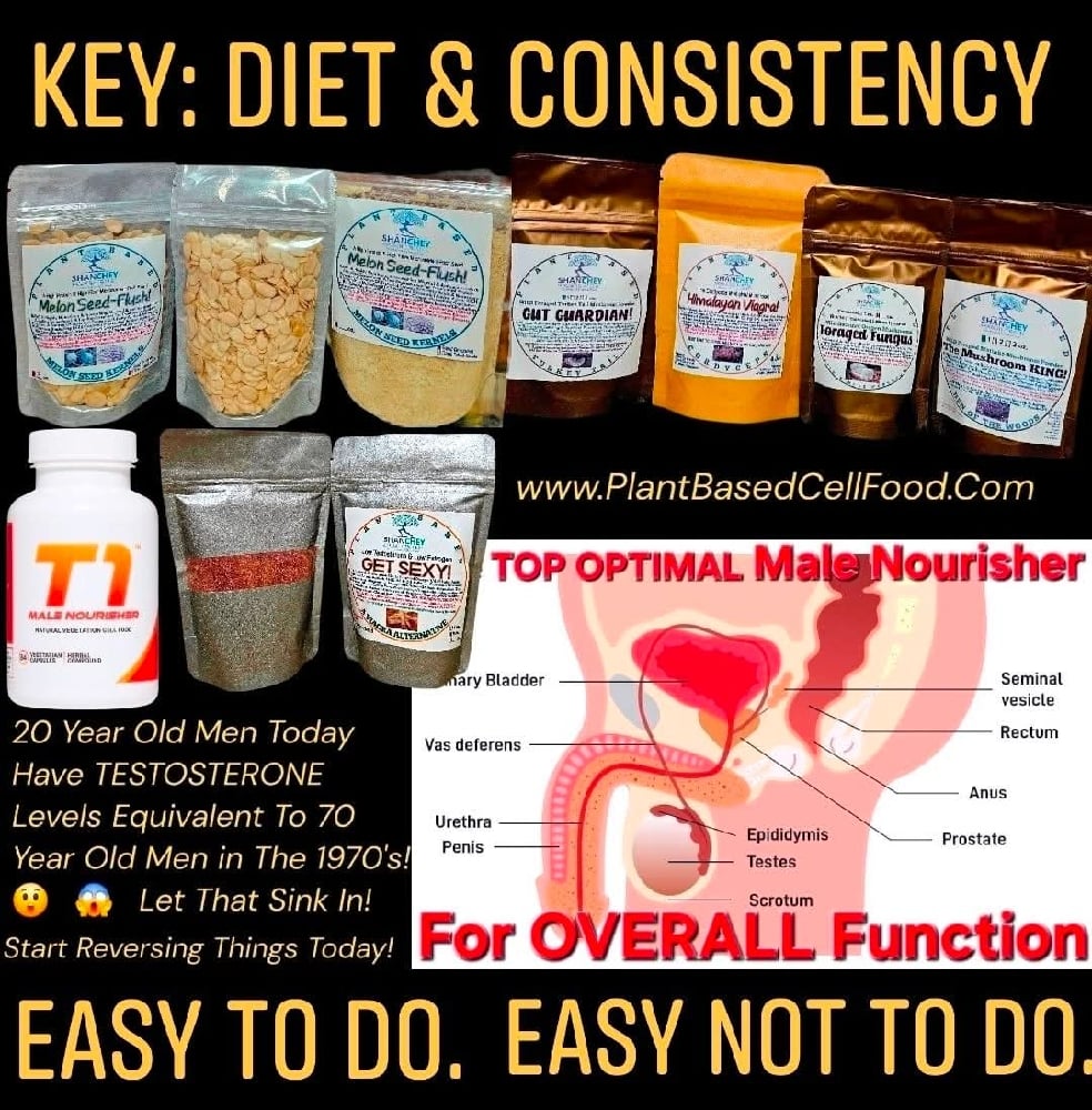 SUPPLEMENTS. T1 Male. Maya Electric. Drink Electra. Olive Leaf. Soursop. Bitter Melon. Sarsaparilla