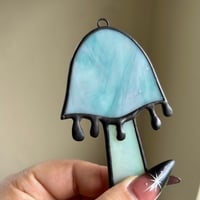 Image 6 of Inky Cap Mushrooms